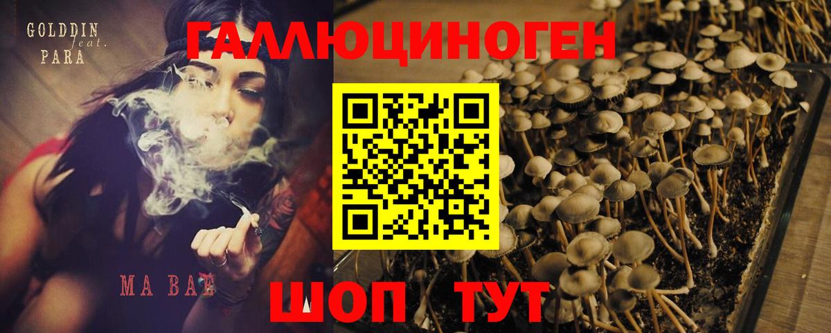 Альметьевск  где купить наркоту  Вход с VPN  Псилоцибиновые грибы Magic Shrooms 